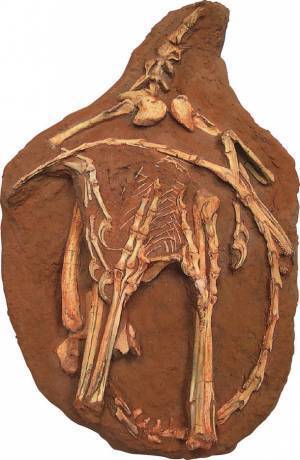 ロイ・チャップマン・アンドリュースの中央アジア探検100周年記念 特別展「化石ハンター展～ゴビ砂漠の恐竜とヒマラヤの超大型獣～」展示内容のご紹介　国立科学博物館にて2022年7月16日(土)より開催