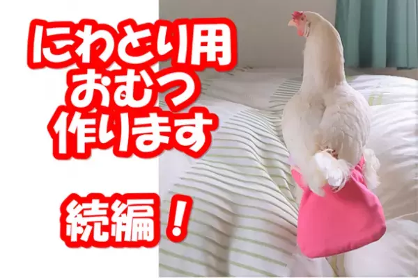 にわとりと室内で一緒に生活ができる！？「にわとり用おむつ」のクラウドファンディングを開始！プロジェクトは8/5(金)まで実施