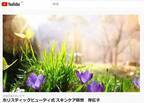 ホリスティックビューティ式「スキンケア瞑想」のナビゲート動画をYouTubeチャンネルにて7月14日に日本語版＆英語版 一般公開