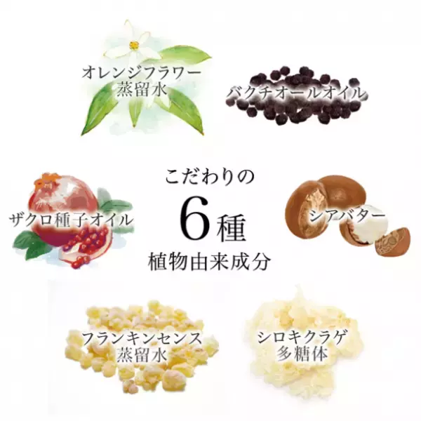 水は一滴も入れない、オーガニック厳選原液のみを使用　美容液「オーガニック　デコルテセラム」を発売