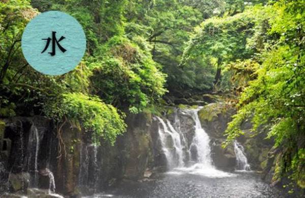 『すっぽんいのち力』を8月2日(火)より提供開始　マイナス196度で冷凍粉砕！鮮度そのままのすっぽんサプリ