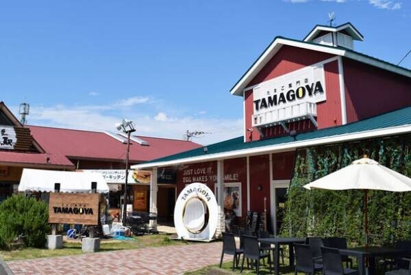 たまご専門店TAMAGOYA「まるでたまごのようなかき氷」毎年大人気のひんやりEGGスイーツが季節限定で登場！