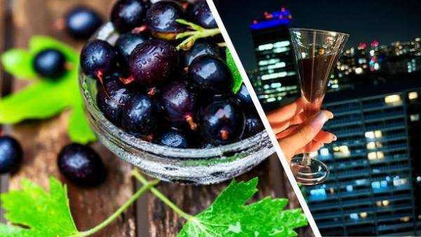 累計販売実績40万本の二日酔い防止ドリンクの新シリーズ　美とお酒を両立させたい女性の願いを叶えたCBD配合のバズビートプレミアムビューティーがMakuakeにて先行販売開始！