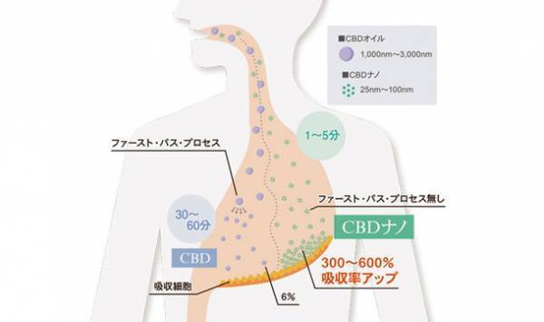 ＜国内初＞国内最小サイズ「CBD」×ウコン配合　日中のストレス、夏の夜の寝苦しさなど、不快感解消にピッタリな瞬間的リラクゼーションドリンク発売