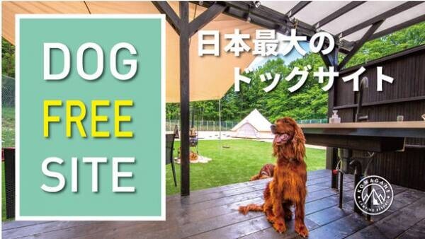 長野県駒ヶ根市にあるキャンピングリゾートに7月23日よりキャンプエリア「Forest」(全21サイト)が新規オープン