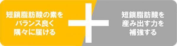 美尻トレーナー岡部友先生が提唱する「体の内側から美ボディをつくろう」PURE DIAMONDシリーズにルミナコイド健康食品「ルルミルク」とのコラボ商品が登場