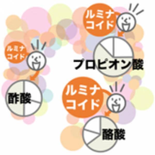 美尻トレーナー岡部友先生が提唱する「体の内側から美ボディをつくろう」PURE DIAMONDシリーズにルミナコイド健康食品「ルルミルク」とのコラボ商品が登場