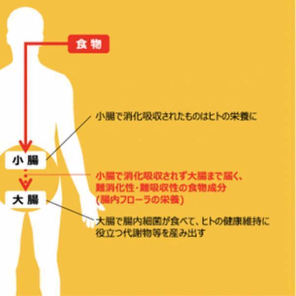 美尻トレーナー岡部友先生が提唱する「体の内側から美ボディをつくろう」PURE DIAMONDシリーズにルミナコイド健康食品「ルルミルク」とのコラボ商品が登場