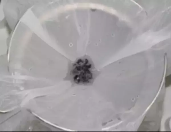 「Less Micro Plastic(レスマイクロプラスチック)」プロジェクト認証洗濯ネット、京都大学 田中 周平准教授との共同研究において、排出量85％以上削減を確認