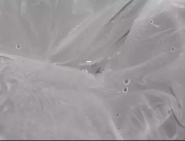 「Less Micro Plastic(レスマイクロプラスチック)」プロジェクト認証洗濯ネット、京都大学 田中 周平准教授との共同研究において、排出量85％以上削減を確認