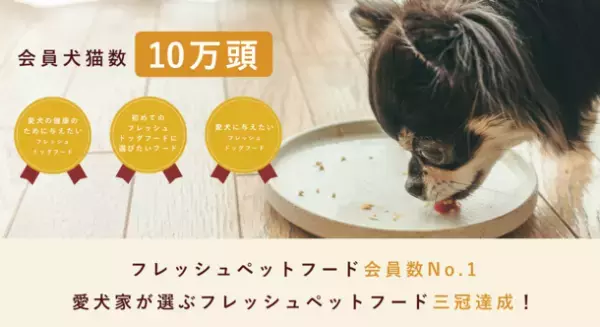 フレッシュペットフード「ココグルメ」とkmモビリティサービスが協働してペットツーリズムを推進！コミュニティに特化した愛犬同伴バスツアーを8月6日(土)に開催