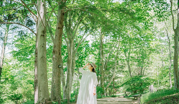 【六甲高山植物園 緊急企画】猛暑日は植物園で過ごそう！ひんやり六甲キャンペーン