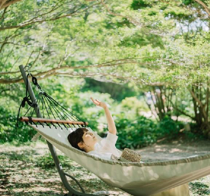 【六甲高山植物園 緊急企画】猛暑日は植物園で過ごそう！ひんやり六甲キャンペーン