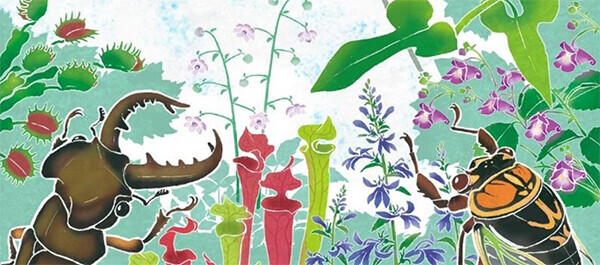 【六甲高山植物園 緊急企画】猛暑日は植物園で過ごそう！ひんやり六甲キャンペーン