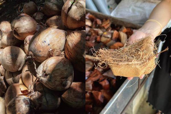 サスティナブル・ブランド「WALANCE」にココナッツ染めを施したアイテムが登場　―穏やかで優しいピンク―