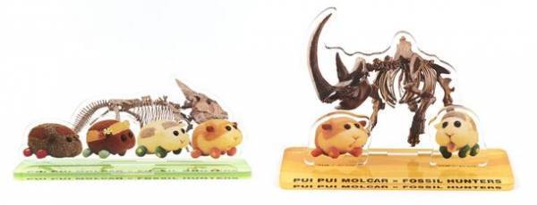 国立科学博物館・特別展「化石ハンター展」いよいよ開幕！展覧会オリジナルグッズでは、人気TVアニメ「PUI PUI モルカー」とのコラボが決定！音声ガイドでは、杉田智和さん＆釘宮理恵さんが本展の見どころをストーリー仕立てで解説