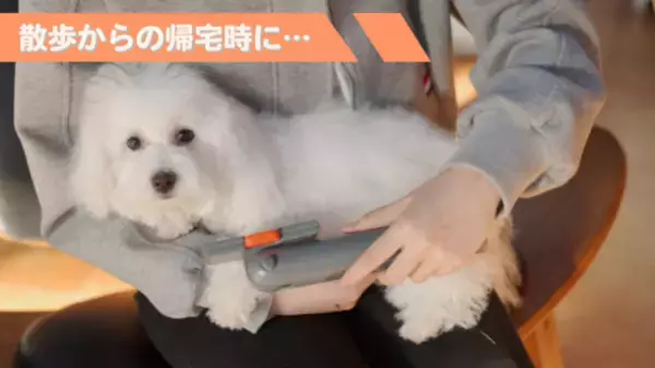 「ブラッシングでペットを除菌・消臭！魔法のペットケアブラシ」がMakuakeにて8月28日まで先行予約受付！