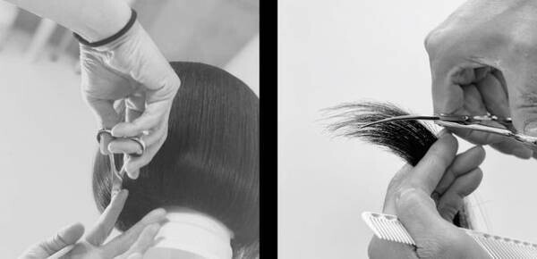 東洋人の骨格と髪質に着目し、美しさを引き出す今注目の新技法「シルキーカット」の講習を7月より公式サイトにて予約受付開始