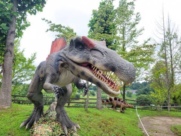 大阪・ハーベストの丘に8mのティラノサウルスが出現！博物館級の標本や触れる化石の展示も楽しめる「恐竜アドベンチャーフォレスト」が8月28(日)まで開催中