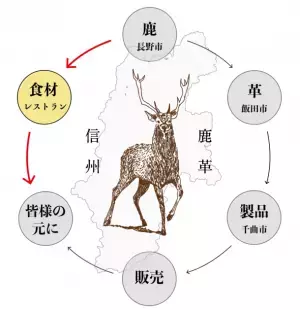 ジビエ料理と鹿革ワークショップのイベント！「信州ジビエまるっと体験」を7月26日に開催