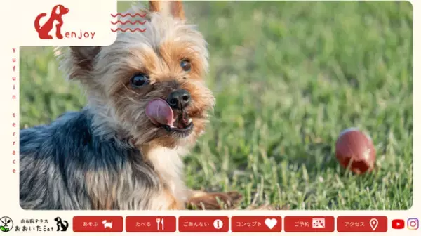 ペットと一緒にペット旅『由布院テラス』宿泊複合型施設　2022年9月1日～10月30日「アメリカンBBQ秋祭り」開催