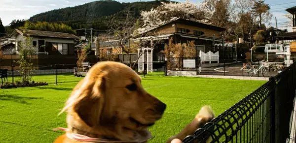 ペットと一緒にペット旅『由布院テラス』宿泊複合型施設　2022年9月1日～10月30日「アメリカンBBQ秋祭り」開催