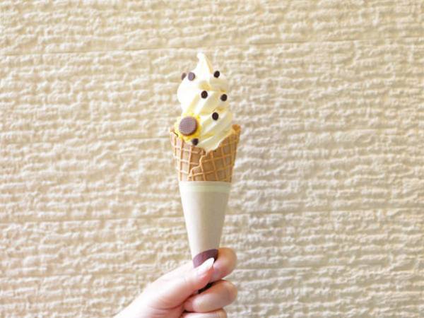 大阪・堺市で風に揺れる9万本の小さな太陽「ひまわりサマーフェスタ」が7月21日から開催