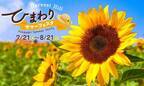 大阪・堺市で風に揺れる9万本の小さな太陽「ひまわりサマーフェスタ」が7月21日から開催