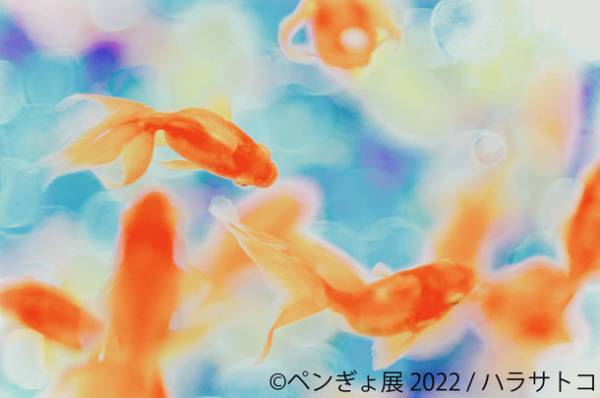 福岡初！2022夏は“ペンギン＆金魚”の納涼アートで癒されよう♪「ペンぎょ展」8/13～開催！来場者特典や福岡限定グッズも充実