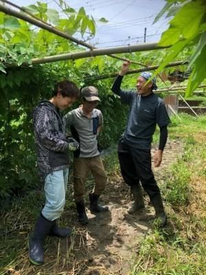 健康食として注目されている“ムクナ豆”を使用した「むくなの塩」が8月15日(月)発売　「むくな豆コーヒー・むくな豆茶」を販売する絆工場の新商品