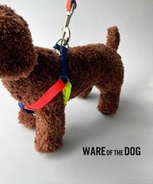 「PICCIN」がNYブルックリン発のドッググッズブランド「WARE OF THE DOG」の取り扱いを7月10日(日)に開始