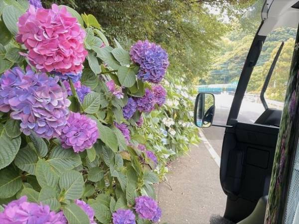 大分県姫島の新しい観光スタイル「ゆる旅in姫島」が応募者多数につき8月12日まで追加募集を開始　～9月8日からツアーを実施！～