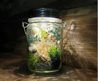 見て・聴いて・触って！アートを体感！自然体感展望台 六甲枝垂れで「シダレミュージアム」を開催中！