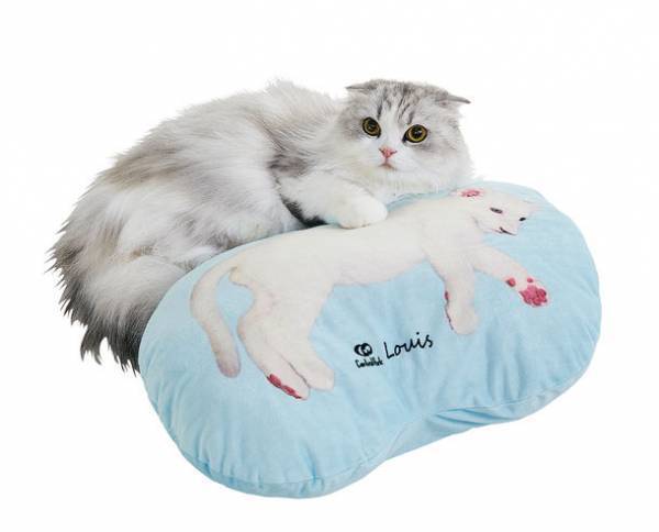 『姫路セントラルパーク』で大人気の動物たちがペット用グッズに！？姫セン × ペット用品通販ペピイがコラボ