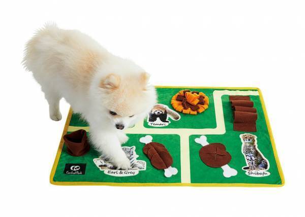 『姫路セントラルパーク』で大人気の動物たちがペット用グッズに！？姫セン × ペット用品通販ペピイがコラボ