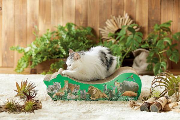 『姫路セントラルパーク』で大人気の動物たちがペット用グッズに！？姫セン × ペット用品通販ペピイがコラボ