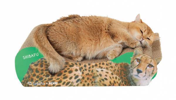 『姫路セントラルパーク』で大人気の動物たちがペット用グッズに！？姫セン × ペット用品通販ペピイがコラボ