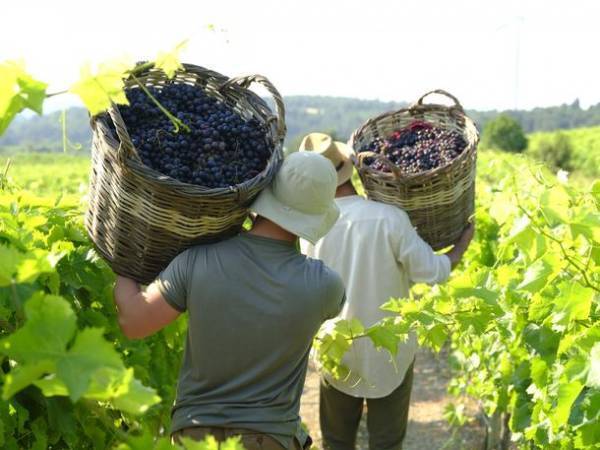 【トルコ共和国大使館・文化広報参事官室】伝統的なローカルフード　～トルコの「スローフード」　トルコ観光の魅力の一つとして、今秋よりさらにアピール