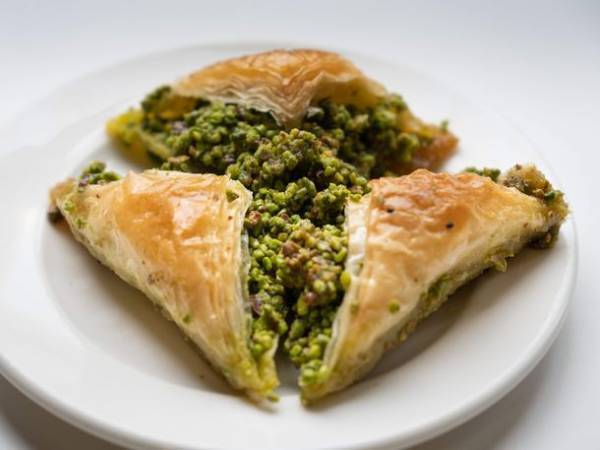 【トルコ共和国大使館・文化広報参事官室】トルコで栽培されているオリーブ、ピーチ　トルコの物産を地理的表示産品としての登録を推進