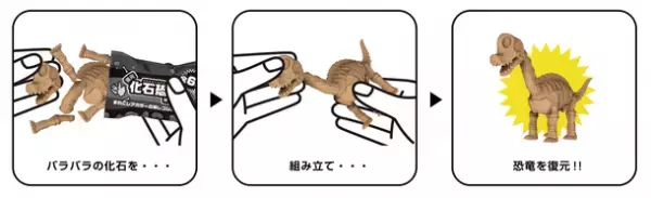 親子で化石型消しゴムを組み立てよう！『復元 化石恐竜消しゴム』8月上旬発売～ティラノサウルス・トリケラトプスなど全6種～