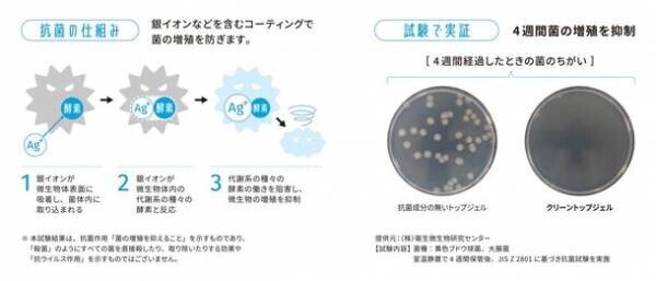 抗菌作用のあるジェルネイル「クリーントップジェル」日本上陸20周年の「Calgel(カルジェル)」から7月25日新発売　＝8月15日より取り扱いサロンの案内も開始＝
