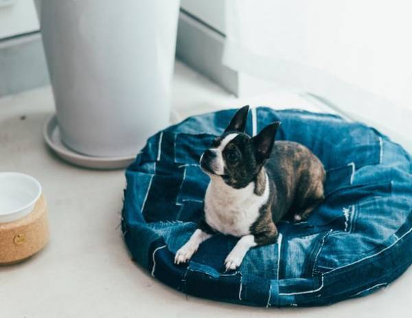 サスティナブルに“暮らす”受け継ぐ思いを未来に京都タカシマヤへGo！2022年8月17日(水)～8月22日(月)開催！