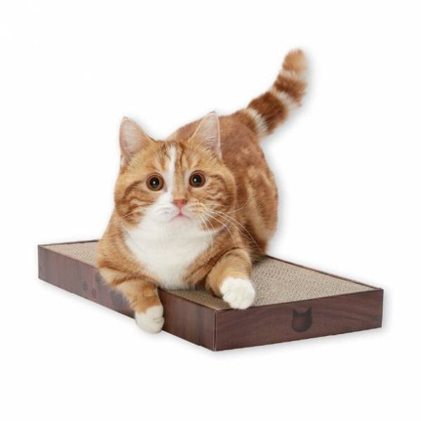 環境に配慮し、つめとぎ部分が交換可能なバリバリパッドシリーズに新サイズが2022年7月下旬に新登場！～全部で6種類同時発売～