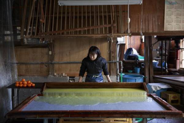 絵本『ピーターラビットのおはなし』出版120周年記念！廃棄野菜から作られた巨大アート「Friend to Nature」が8月8日(月)から大阪梅田駅に再登場！