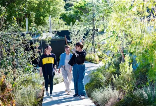 8月1日グランドオープン【北欧のオーロラ観察をモチーフとしたグランピング施設】千葉県いすみ市にて満天の星とお風呂が楽しめるグランピング施設【SOLAS(ソラス)】がグランドオープンします