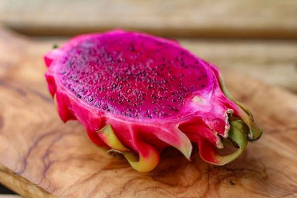 夏のたんぱく質不足を解消！ヴィーガン対応プロテイン「元気★プラントベース・プロテインの素」が新登場