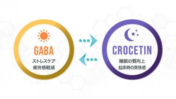 ビジネスマン特化型の新ジャンル睡眠サプリ「セロトシードR4」登場