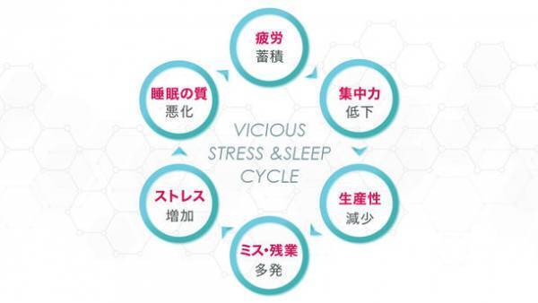 ビジネスマン特化型の新ジャンル睡眠サプリ「セロトシードR4」登場