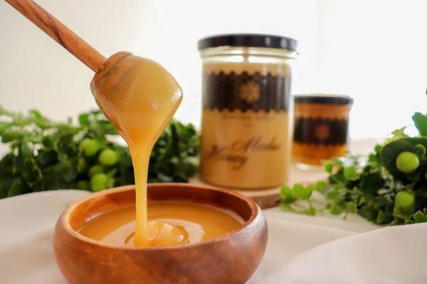 北欧リトアニア産リンデン高級「生」はちみつファミリーサイズのクラウドファンディングを9月2日(金)より開始　～非加熱・無添加・無農薬のリンデン(菩提樹)生はちみつ～