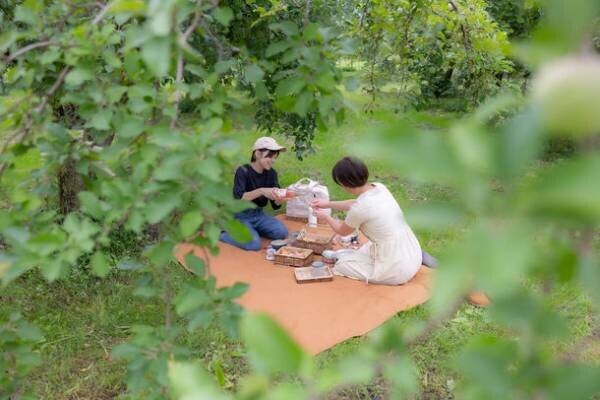 長野県松川町にてりんごの木の木陰でランチできる「Orchardピクニックまつかわ」8月12日に開始